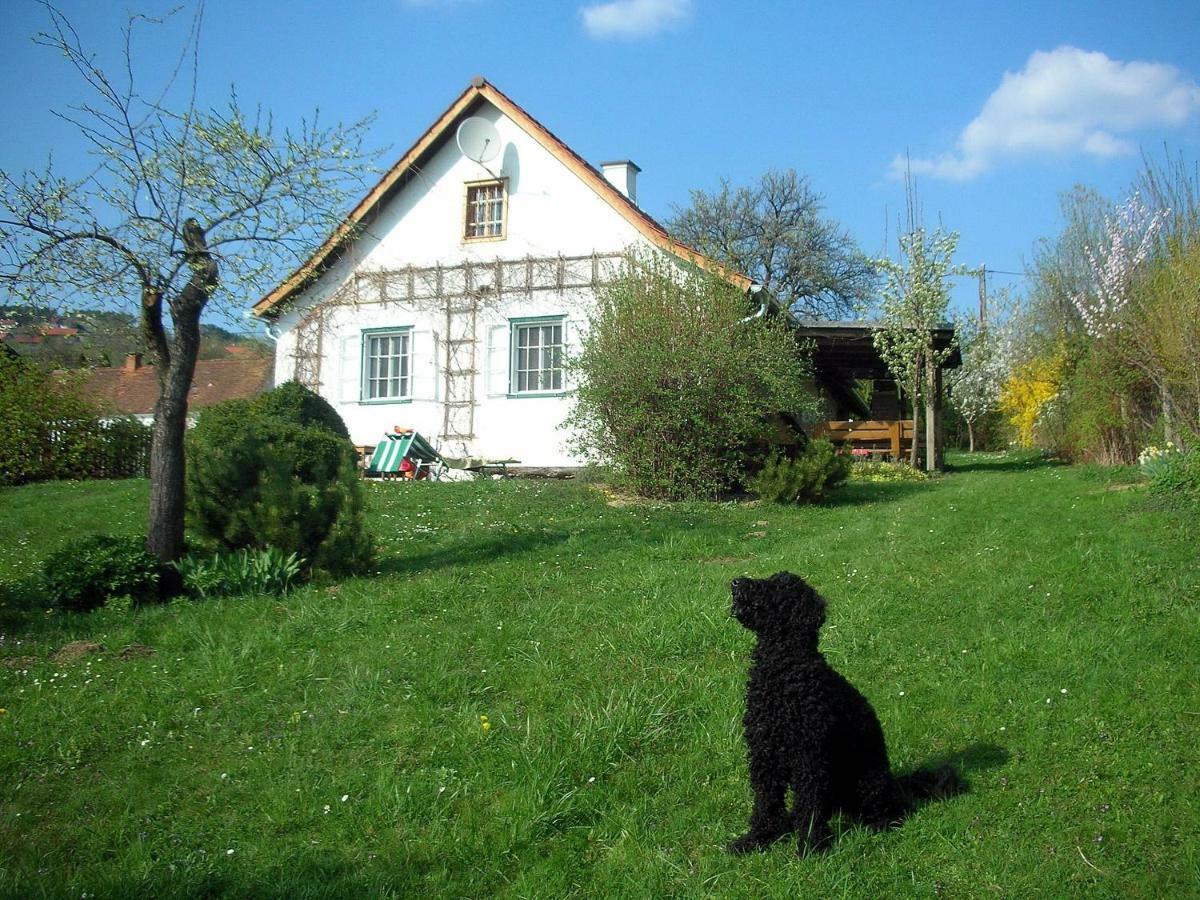 Villa Beim Schachnerhaus Pöllauberg Exterior foto
